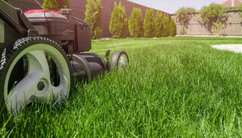 lawn-care-services-afm lawn-care-services-afm